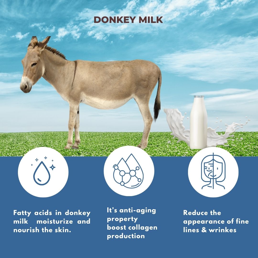 Donkey milk & kaolin clay cold processed soap